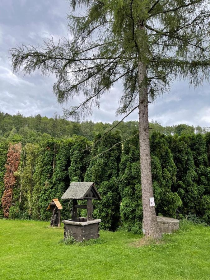 Penzion Hájenka Petrovice  Exterior foto